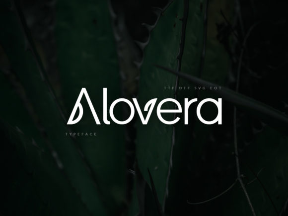 Alovera: A Modern Display Font for Business Branding