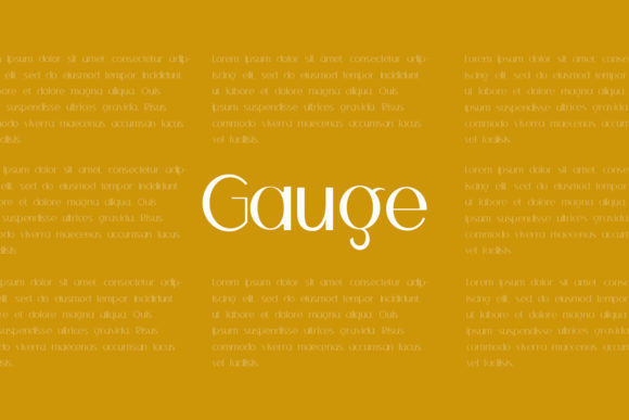 How Choosing the Gauge Font Transformed My Small Business Branding